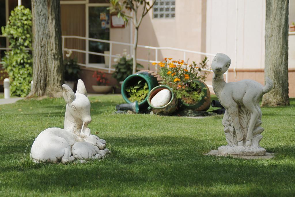 Jardins Del Segria Ξενοδοχείο Λιέιδα Εξωτερικό φωτογραφία